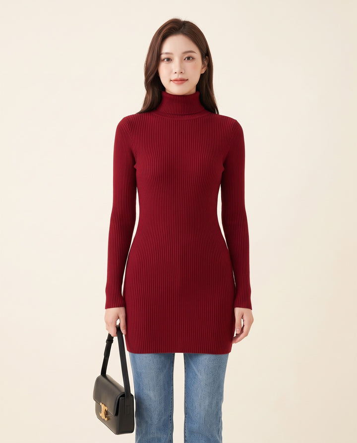 Turtleneck Sweater Dress