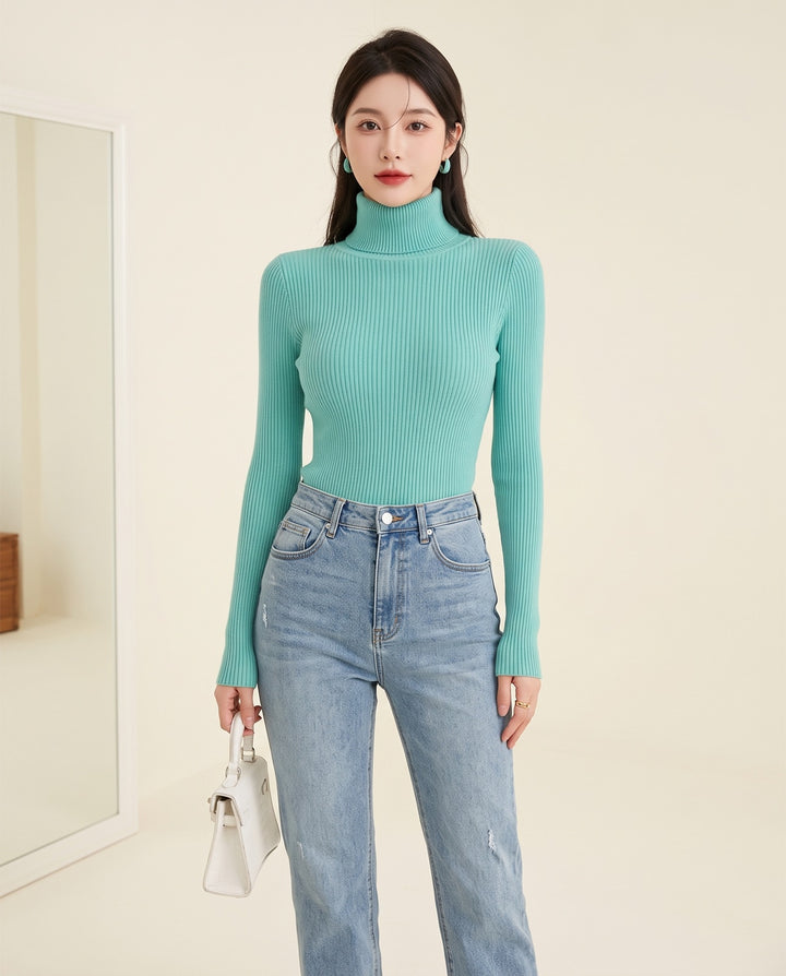 Turtleneck Sweater Dress