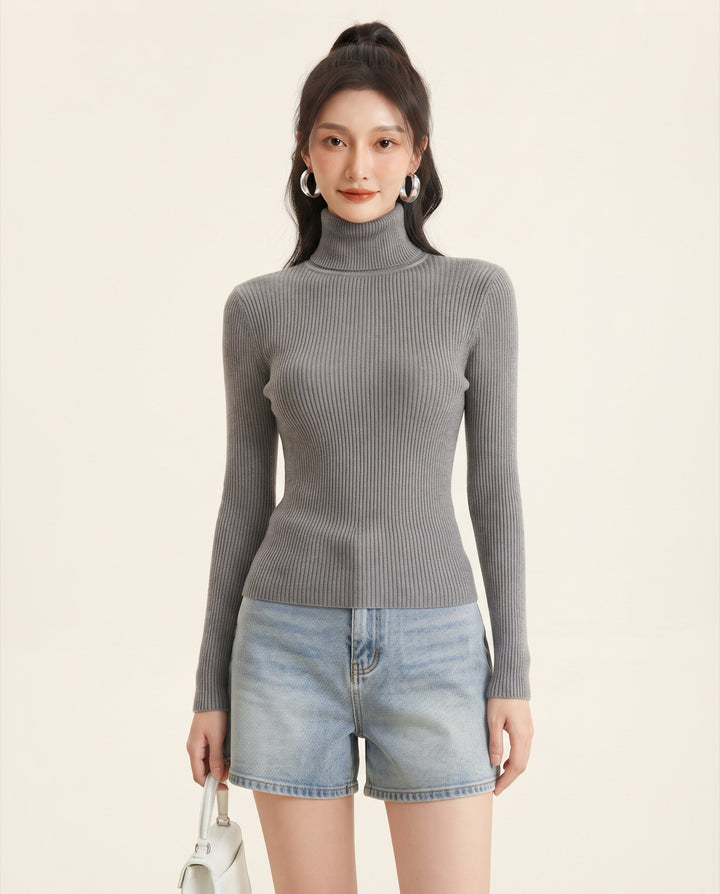 Turtleneck Sweater Dress